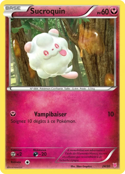 Sucroquin #18 — XY Kit du dresseur (Grodoudou)