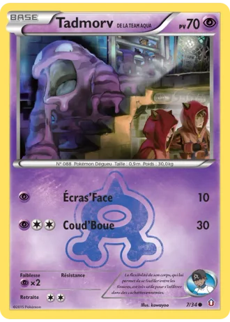 Tadmorv de la Team Aqua #7 — Double Danger