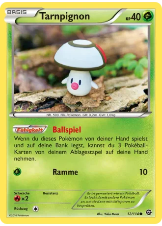 Tarnpignon #12/114 — Dampfkessel