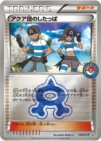 Team Aqua Grunt #119/XY-P — XY Promos