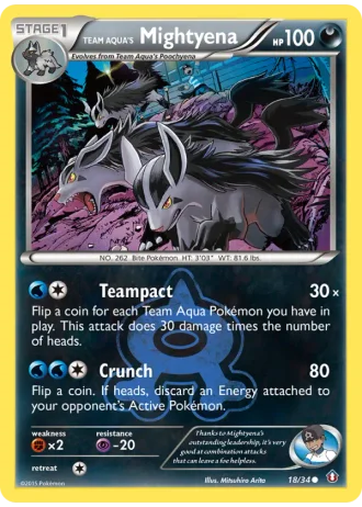 Team Aqua's Mightyena #18 — Double Crisis