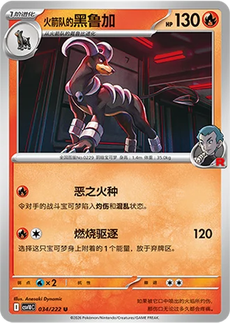 Team Rocket's Houndoom #34/222 — Chasing Glory Together