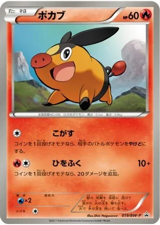 Tepig #19/BW-P — Black & White Promos