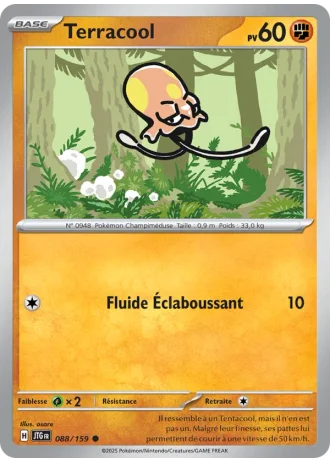Terracool #088/159 — Aventures Ensemble