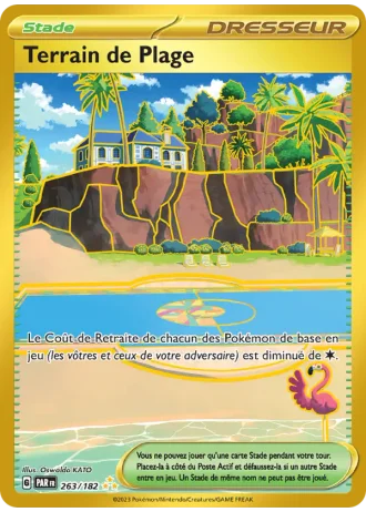 Terrain de Plage #263/182 — Faille Paradoxe