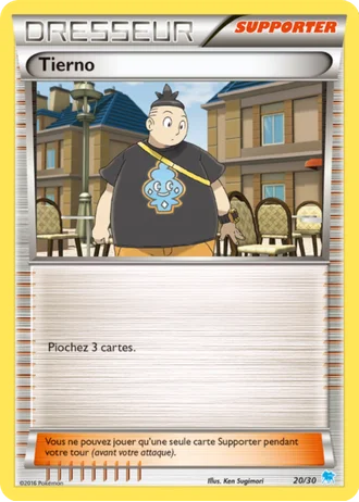 Tierno #20/30 — XY Kit du dresseur (Suicune)