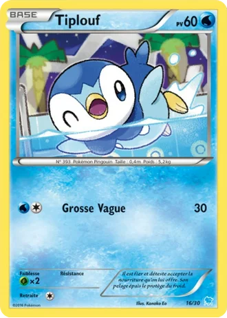 Tiplouf #16 — XY Kit du dresseur (Suicune)