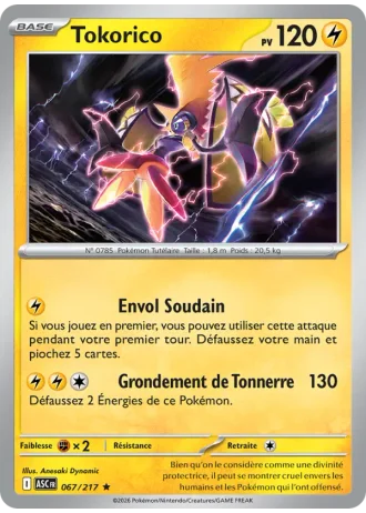 Tokorico #067/217 — Héros Transcendants