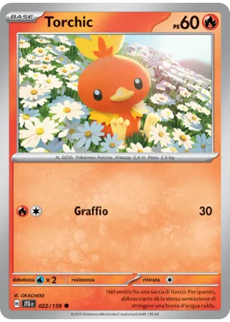 Torchic #022 — Avventure Insieme