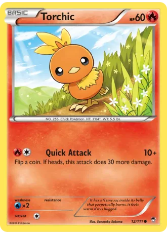 Torchic (City Championships 2014-15 Staff) #12 — Furious Fists