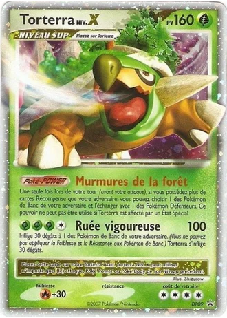 Torterra Niv.X DP09 — Diamant & Perle Promos