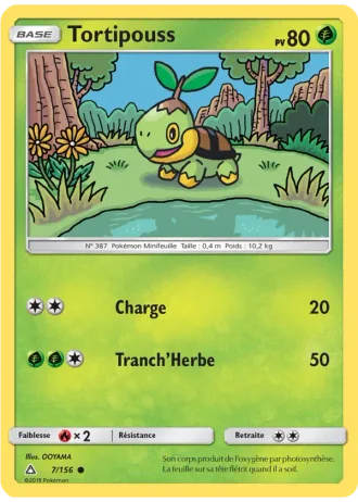 Tortipouss #7/156 — Ultra-Prisme