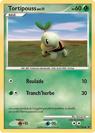 Tortipouss #77/100 — Aube Majestueuse
