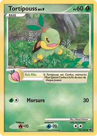Tortipouss #78/100 — Aube Majestueuse