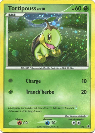 Tortipouss DP01 — Diamant & Perle Promos