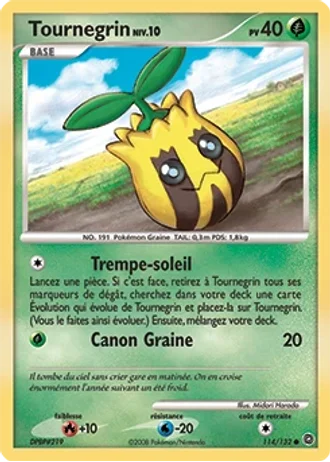 Tournegrin #114 — Merveilles Secrètes