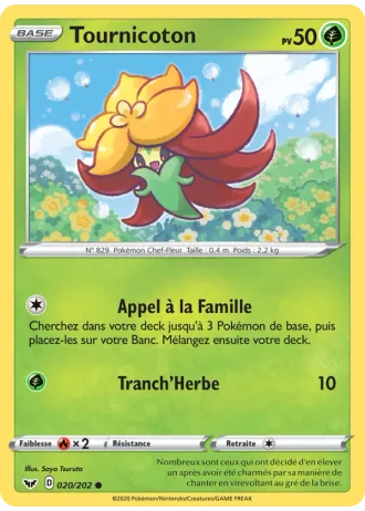 Tournicoton #20/202 — Épée et Bouclier