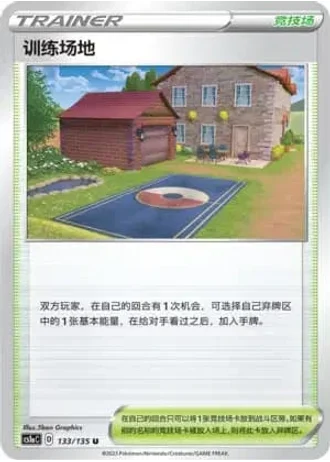 Training Court #133/135 — Dynamax Clash - Thunder