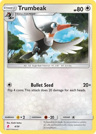 Trumbeak #4 — SM trainer Kit (Lycanroc)