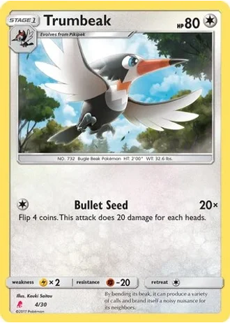 Trumbeak #4 — SM trainer Kit (Lycanroc)