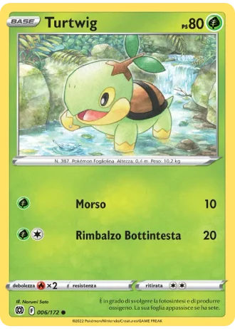 Turtwig #006 — Astri Lucenti