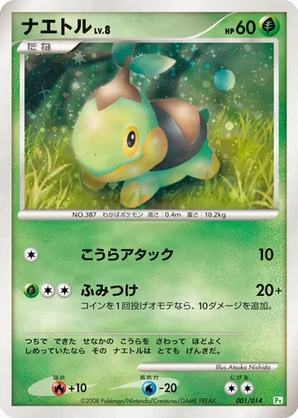 Turtwig #1/14 — Gift Box DPt (Turtwig)