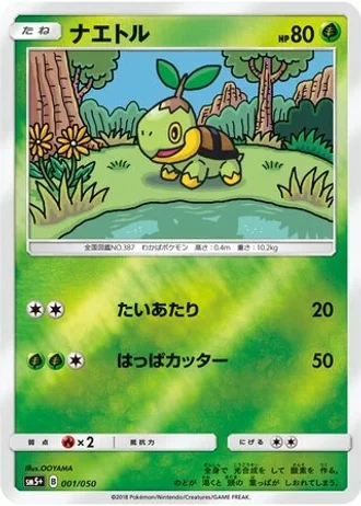 Turtwig #1 — Ultra Force