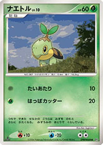 Turtwig — Space-Time Creation