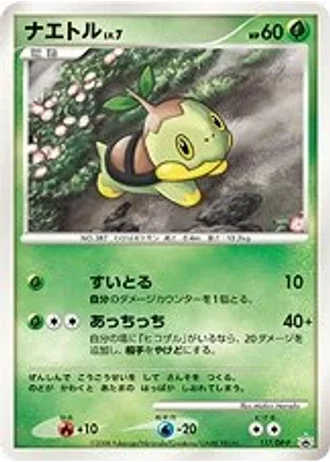 Turtwig #117/DP-P — Diamond & Pearl Promos