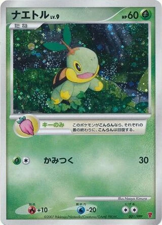 Turtwig #1/PPP — PPP Promos