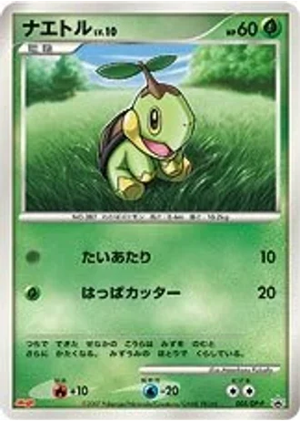 Turtwig #5/DP-P — Diamond & Pearl Promos