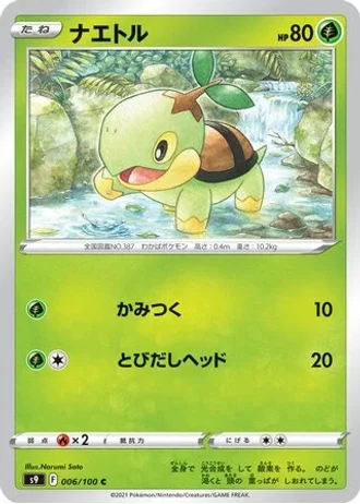 Turtwig #6 — Star Birth