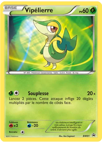 Vipélierre BW01 — Noir & Blanc Promos