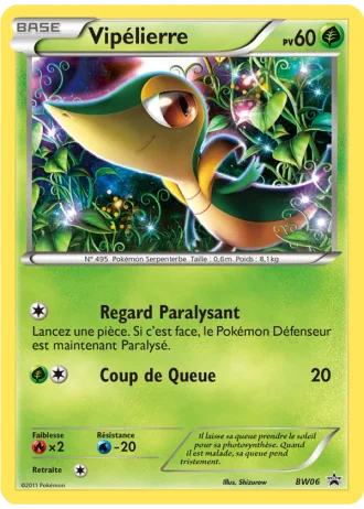 Vipélierre BW06 — Noir & Blanc Promos