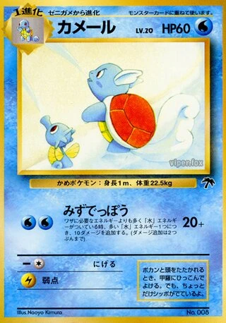 Wartortle No. 008 — Southern Islands