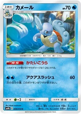 Wartortle #9 — Full Metal Wall