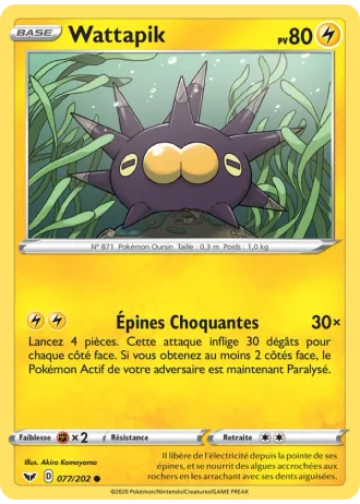 Wattapik #77/202 — Épée et Bouclier