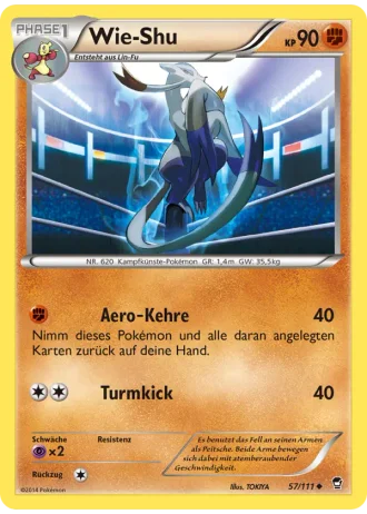 Wie-Shu #57/111 — Fliegende Fäuste