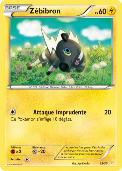 Zébibron #12 — XY Kit du dresseur (Pikachu Libre)