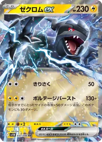 Zekrom ex #37 — Black Bolt