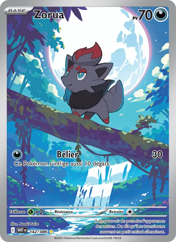 Zorua #142 — Flamme Blanche