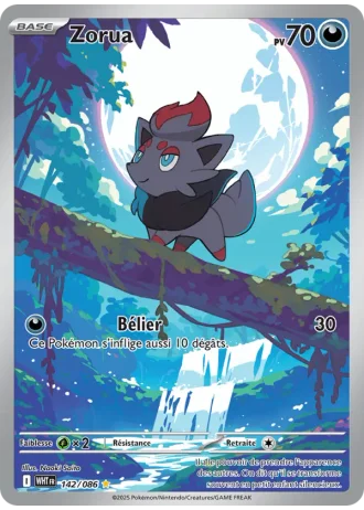 Zorua #142 — Flamme Blanche