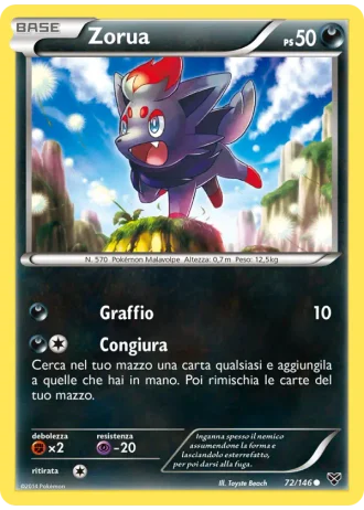 Zorua #72/146 — XY