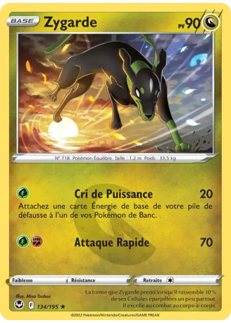 Zygarde #134/195 — Tempête Argentée