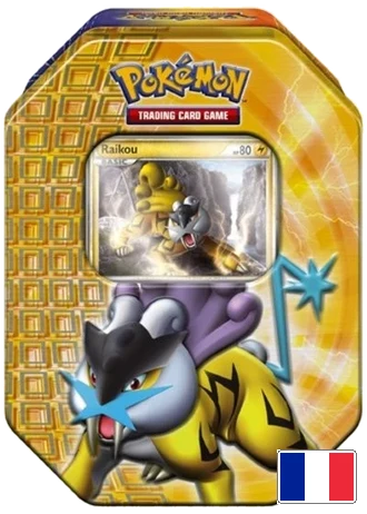Boîte Collector Raikou