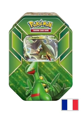 Boîte Puissance de Hoenn Jungko-EX
