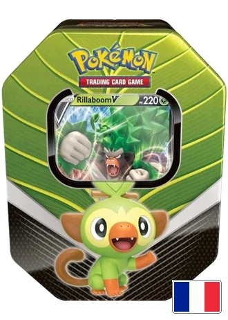 Pokébox Partenaires de Galar - Gorythmic-V