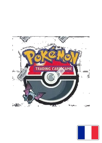 Team Rocket Display