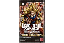 Brightness of Hope (FB11) logo
