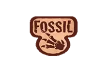 Fossil (1st Edition) logo